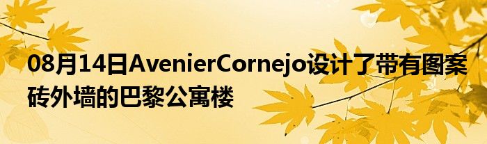 08月14日AvenierCornejo设计了带有图案砖外墙的巴黎公寓楼