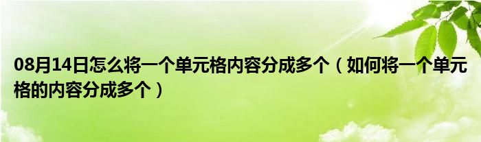 08月14日怎么将一个单元格内容分成多个（如何将一个单元格的内容分成多个）