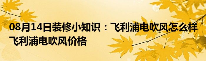 08月14日装修小知识：飞利浦电吹风怎么样 飞利浦电吹风价格