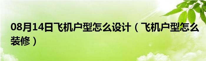 08月14日飞机户型怎么设计（飞机户型怎么装修）