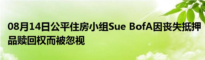 08月14日公平住房小组Sue BofA因丧失抵押品赎回权而被忽视