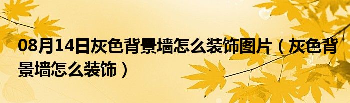 08月14日灰色背景墙怎么装饰图片（灰色背景墙怎么装饰）