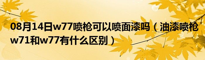 08月14日w77喷枪可以喷面漆吗（油漆喷枪w71和w77有什么区别）