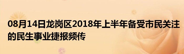 08月14日龙岗区2018年上半年备受市民关注的民生事业捷报频传