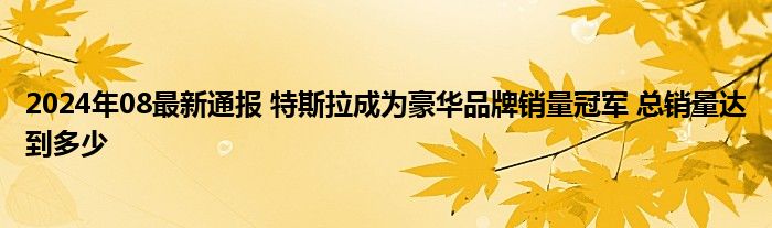 2024年08最新通报 特斯拉成为豪华品牌销量冠军 总销量达到多少