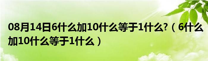 08月14日6什么加10什么等于1什么?（6什么加10什么等于1什么）