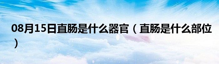 08月15日直肠是什么器官（直肠是什么部位）