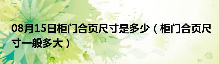 08月15日柜门合页尺寸是多少（柜门合页尺寸一般多大）