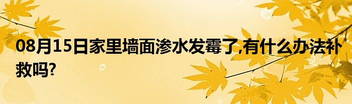 08月15日家里墙面渗水发霉了,有什么办法补救吗?