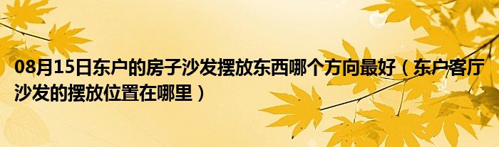 08月15日东户的房子沙发摆放东西哪个方向最好（东户客厅沙发的摆放位置在哪里）