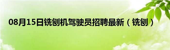 08月15日铣刨机驾驶员招聘最新（铣刨）