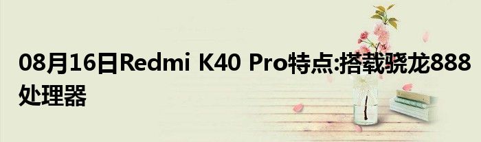 08月16日Redmi K40 Pro特点:搭载骁龙888处理器