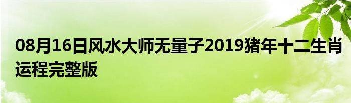 08月16日风水大师无量子2019猪年十二生肖运程完整版