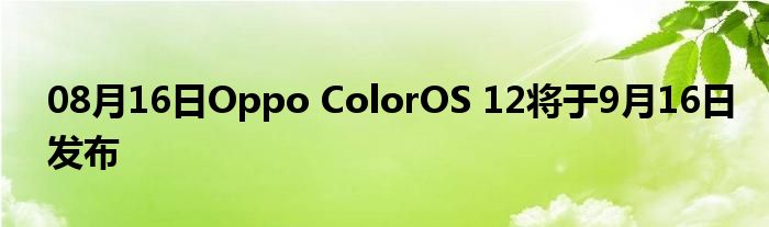 08月16日Oppo ColorOS 12将于9月16日发布