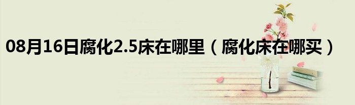 08月16日腐化2.5床在哪里（腐化床在哪买）