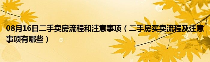 08月16日二手卖房流程和注意事项（二手房买卖流程及注意事项有哪些）