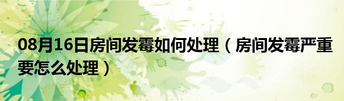 08月16日房间发霉如何处理（房间发霉严重要怎么处理）