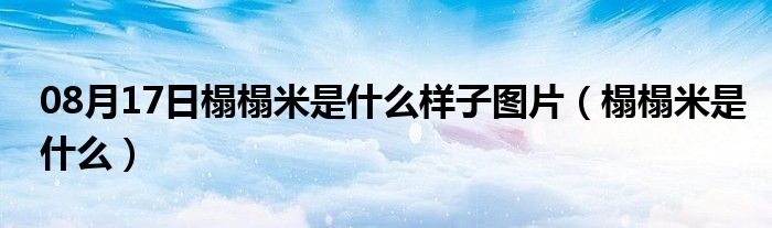 08月17日榻榻米是什么样子图片（榻榻米是什么）