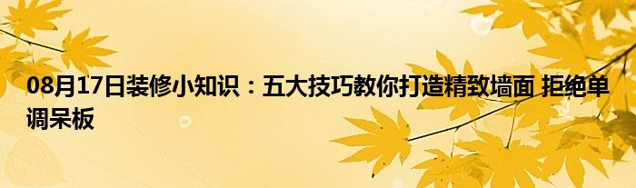 08月17日装修小知识：五大技巧教你打造精致墙面 拒绝单调呆板