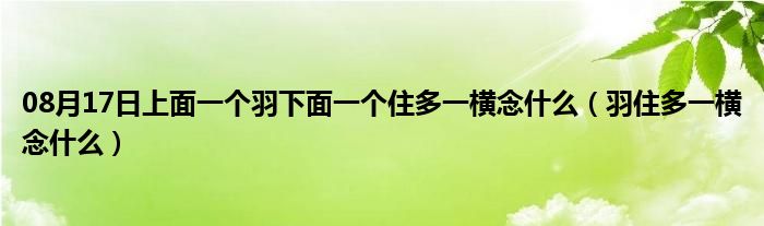 08月17日上面一个羽下面一个住多一横念什么（羽住多一横念什么）