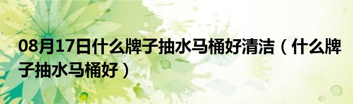 08月17日什么牌子抽水马桶好清洁（什么牌子抽水马桶好）