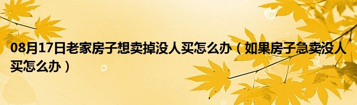 08月17日老家房子想卖掉没人买怎么办（如果房子急卖没人买怎么办）