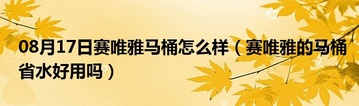 08月17日赛唯雅马桶怎么样（赛唯雅的马桶省水好用吗）