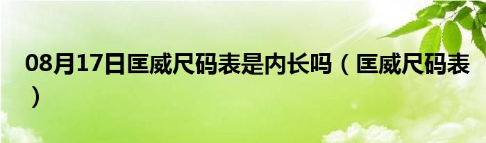 08月17日匡威尺码表是内长吗（匡威尺码表）