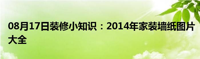 08月17日装修小知识：2014年家装墙纸图片大全