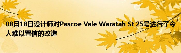 08月18日设计师对Pascoe Vale Waratah St 25号进行了令人难以置信的改造