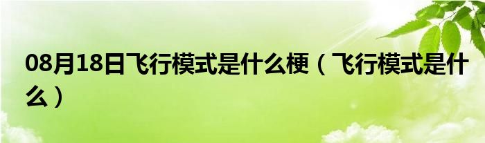 08月18日飞行模式是什么梗（飞行模式是什么）