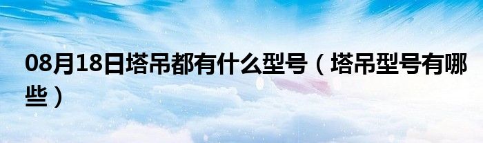 08月18日塔吊都有什么型号（塔吊型号有哪些）