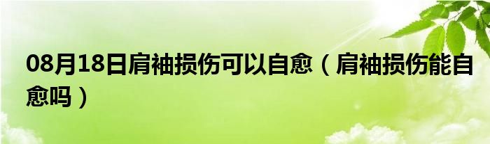 08月18日肩袖损伤可以自愈（肩袖损伤能自愈吗）