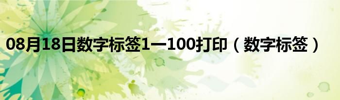 08月18日数字标签1一100打印（数字标签）