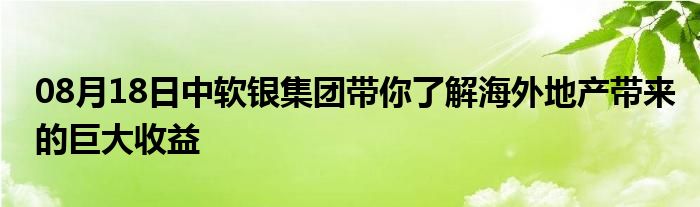 08月18日中软银集团带你了解海外地产带来的巨大收益