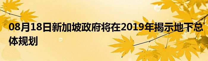 08月18日新加坡政府将在2019年揭示地下总体规划