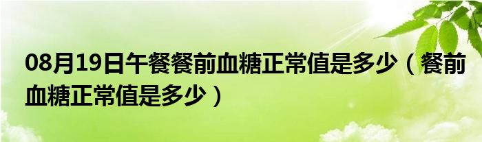 08月19日午餐餐前血糖正常值是多少（餐前血糖正常值是多少）