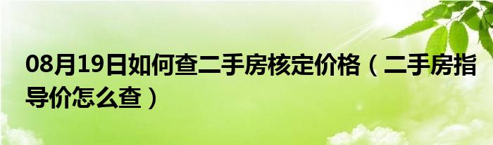 08月19日如何查二手房核定价格（二手房指导价怎么查）