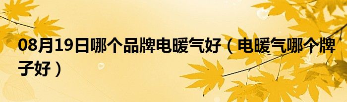 08月19日哪个品牌电暖气好（电暖气哪个牌子好）