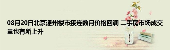 08月20日北京通州楼市接连数月价格回调 二手房市场成交量也有所上升