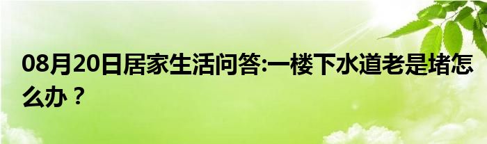 08月20日居家生活问答:一楼下水道老是堵怎么办？