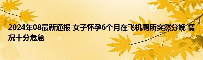 2024年08最新通报 女子怀孕6个月在飞机厕所突然分娩 情况十分危急