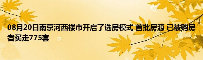 08月20日南京河西楼市开启了选房模式 首批房源 已被购房者买走775套