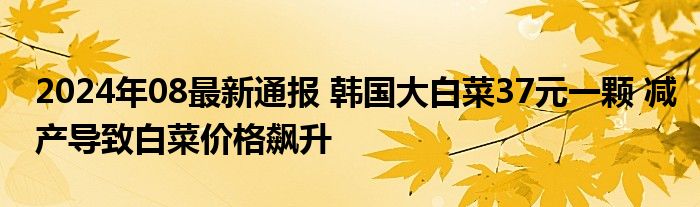 2024年08最新通报 韩国大白菜37元一颗 减产导致白菜价格飙升