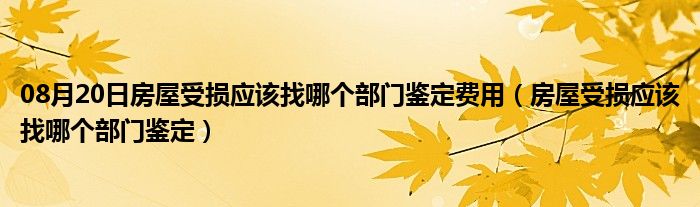 08月20日房屋受损应该找哪个部门鉴定费用（房屋受损应该找哪个部门鉴定）