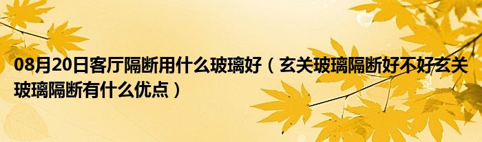 08月20日客厅隔断用什么玻璃好（玄关玻璃隔断好不好玄关玻璃隔断有什么优点）