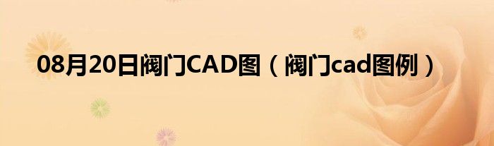 08月20日阀门CAD图（阀门cad图例）