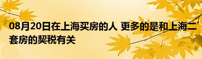 08月20日在上海买房的人 更多的是和上海二套房的契税有关