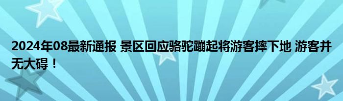 2024年08最新通报 景区回应骆驼蹦起将游客摔下地 游客并无大碍！