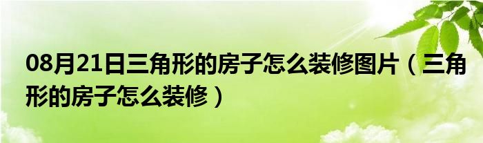 08月21日三角形的房子怎么装修图片（三角形的房子怎么装修）